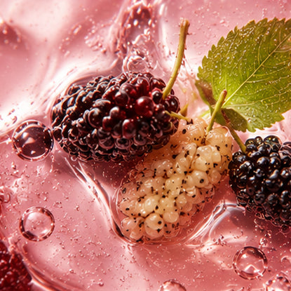 Mulberry Extract 0.5%