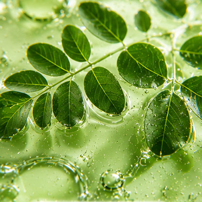 Moringa Oleifera 1%