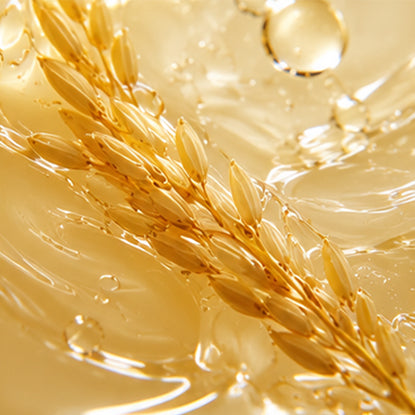 Oryza Sativa Extracts