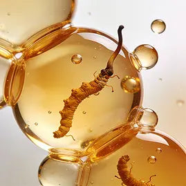 Cordyceps Sinensis Extract