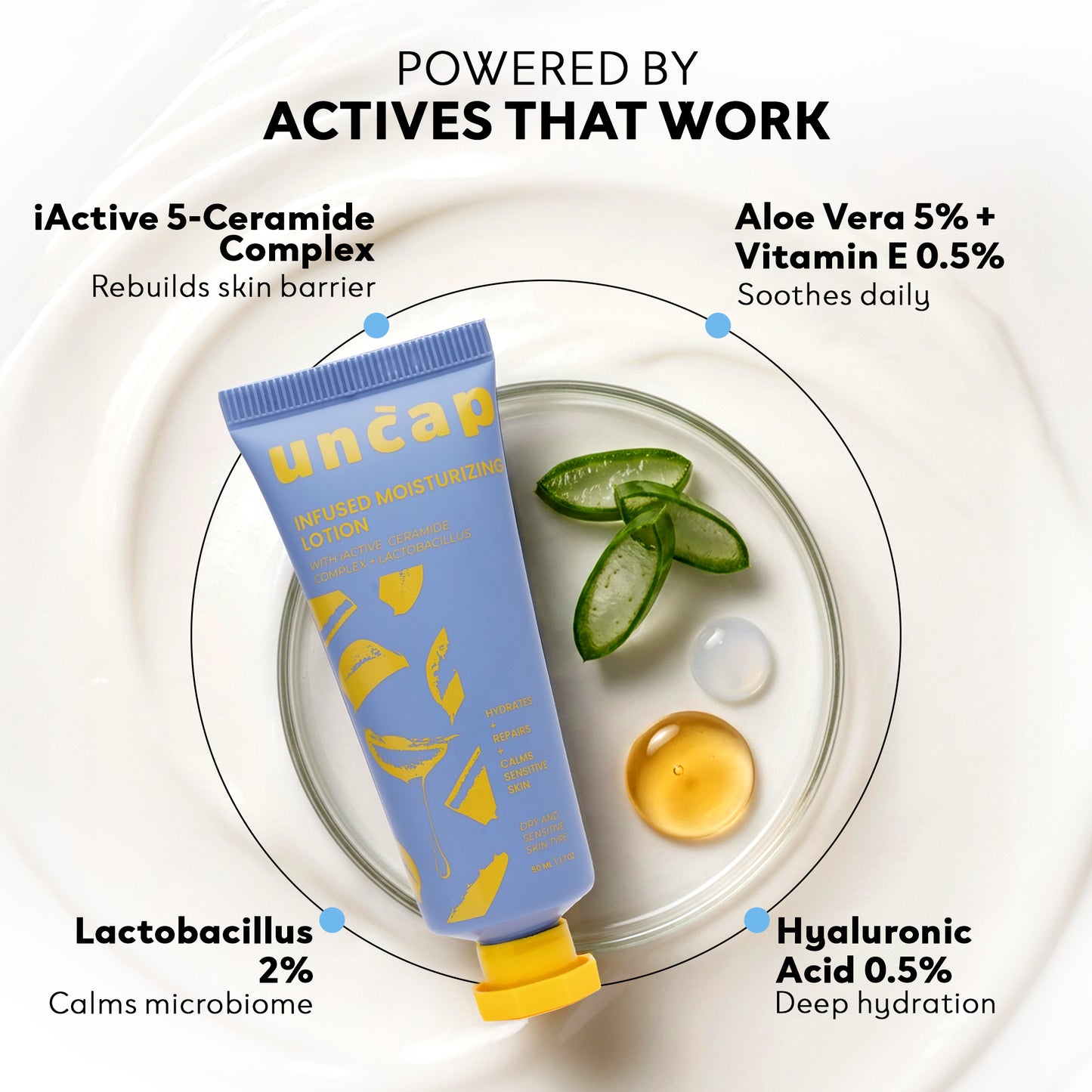 Infused Moisturizing Lotion