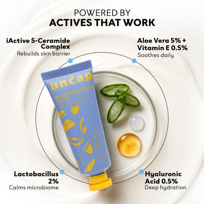 Infused Moisturizing Lotion